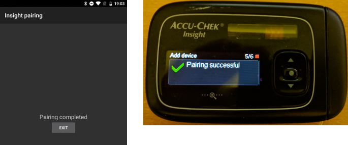Screenshot of Insight Pairing 4